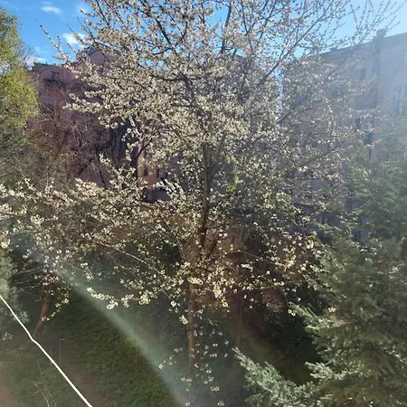 Dalmatinska Apartament *