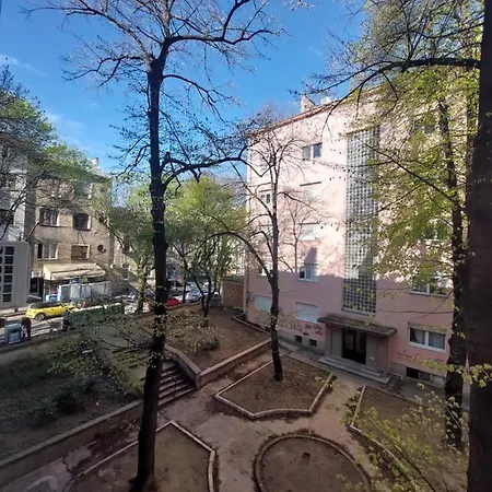 Dalmatinska بلغراد